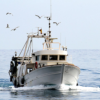 Industry: Trawler Fishing / Boating